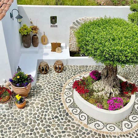 Casa De Oro Alma Aparthotel Sozopol Exterior foto