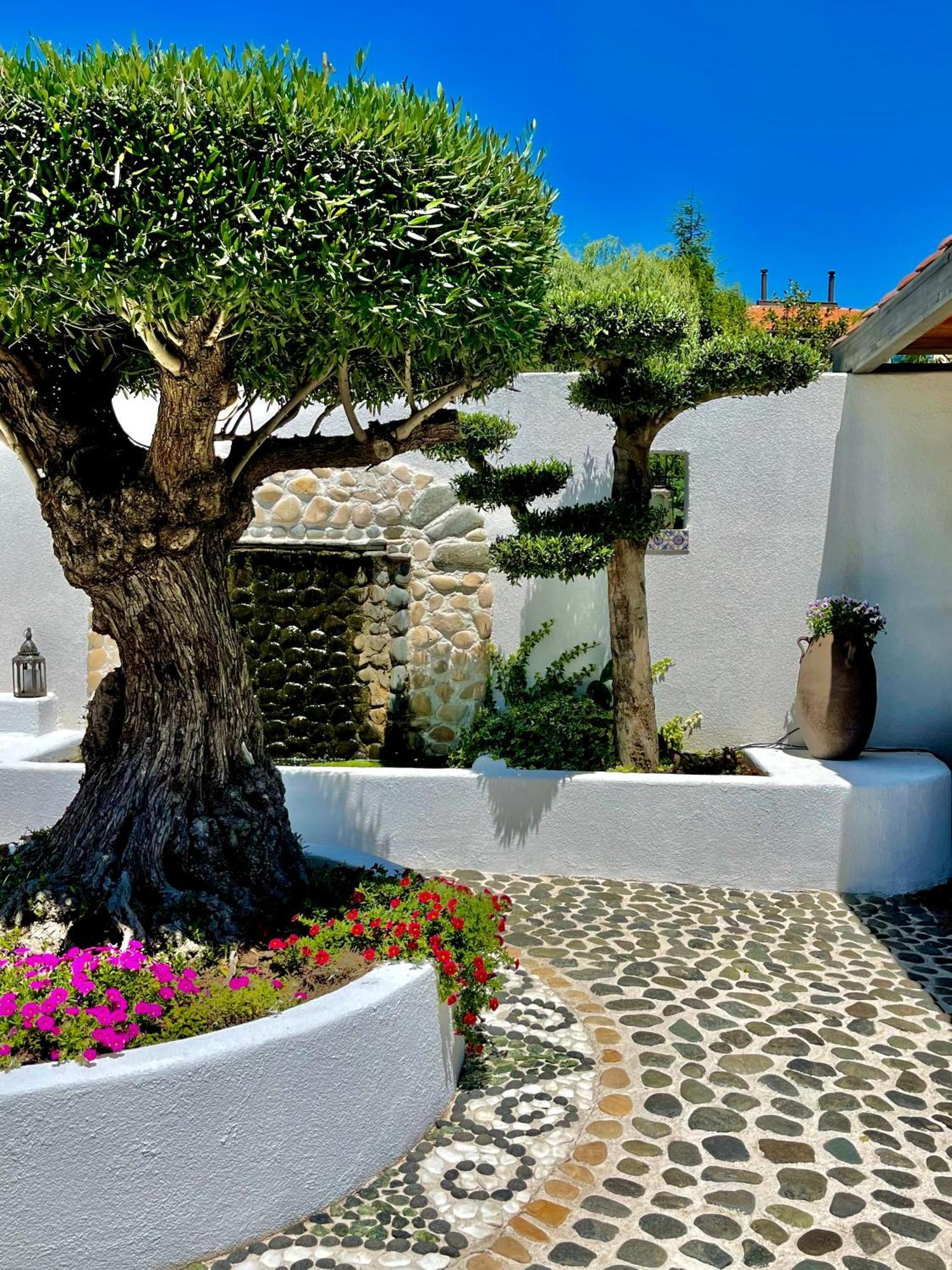 Casa De Oro Alma Aparthotel Sozopol Exterior foto